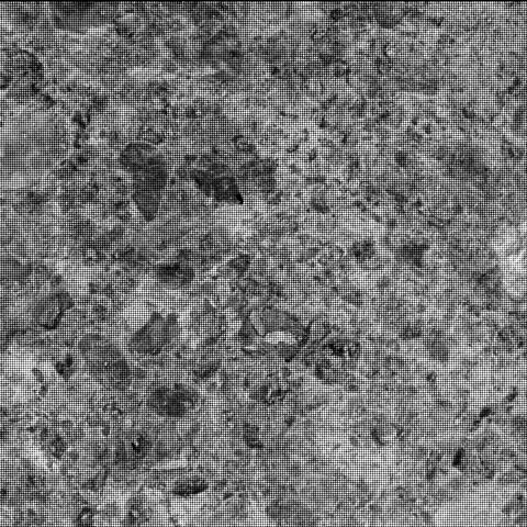 This image was taken by SHERLOC_WATSON onboard NASA's Mars rover Perseverance on Sol 485