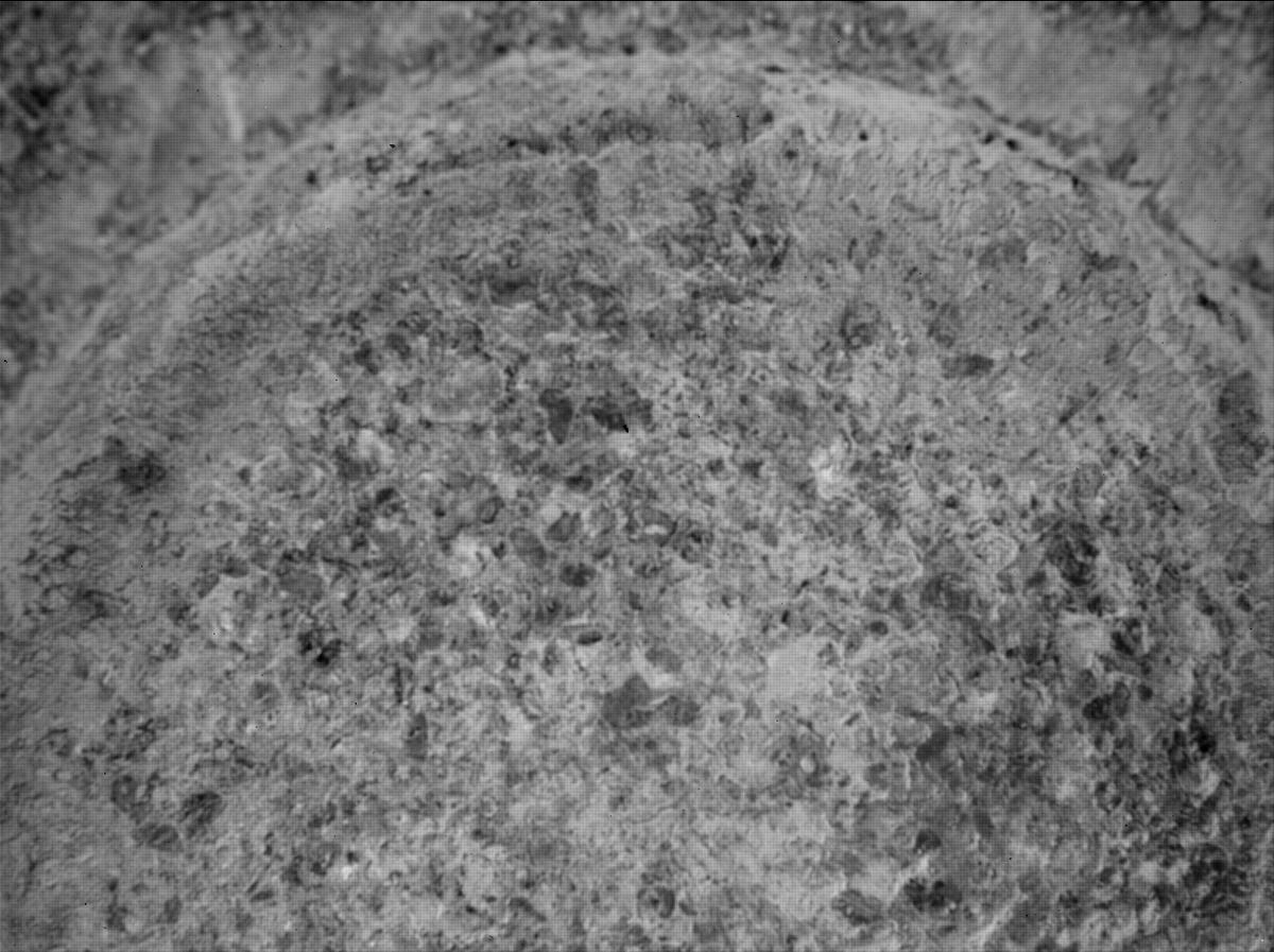 This image was taken by SHERLOC_WATSON onboard NASA's Mars rover Perseverance on Sol 485