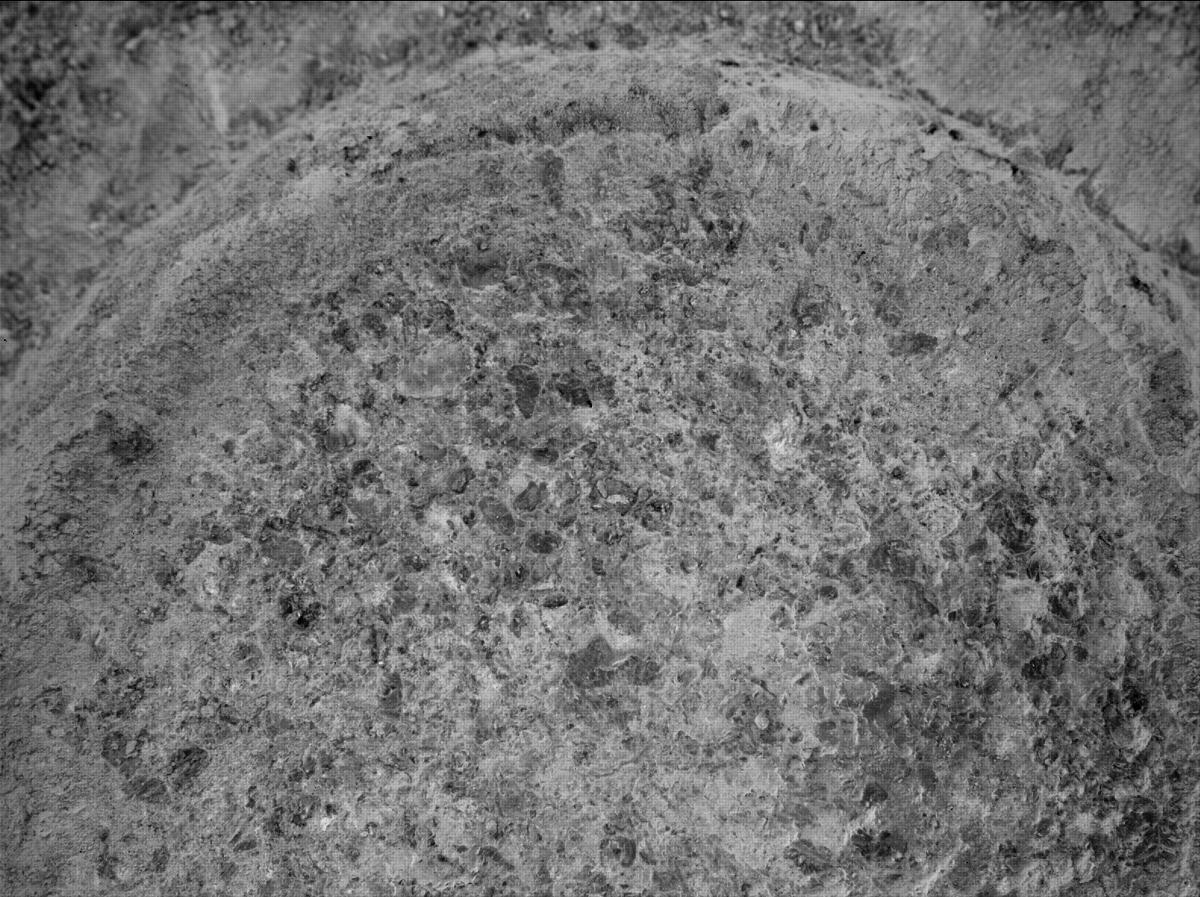 This image was taken by SHERLOC_WATSON onboard NASA's Mars rover Perseverance on Sol 485