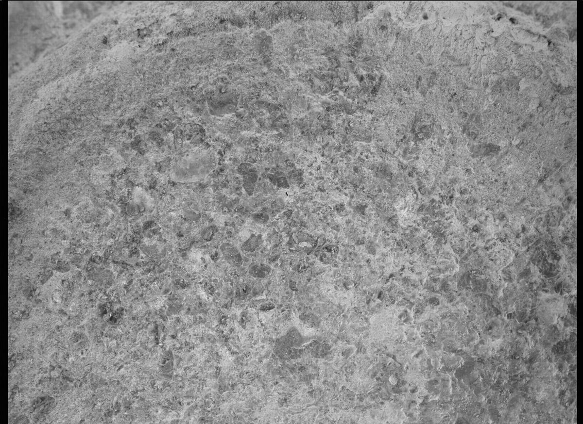 This image was taken by SHERLOC_WATSON onboard NASA's Mars rover Perseverance on Sol 485