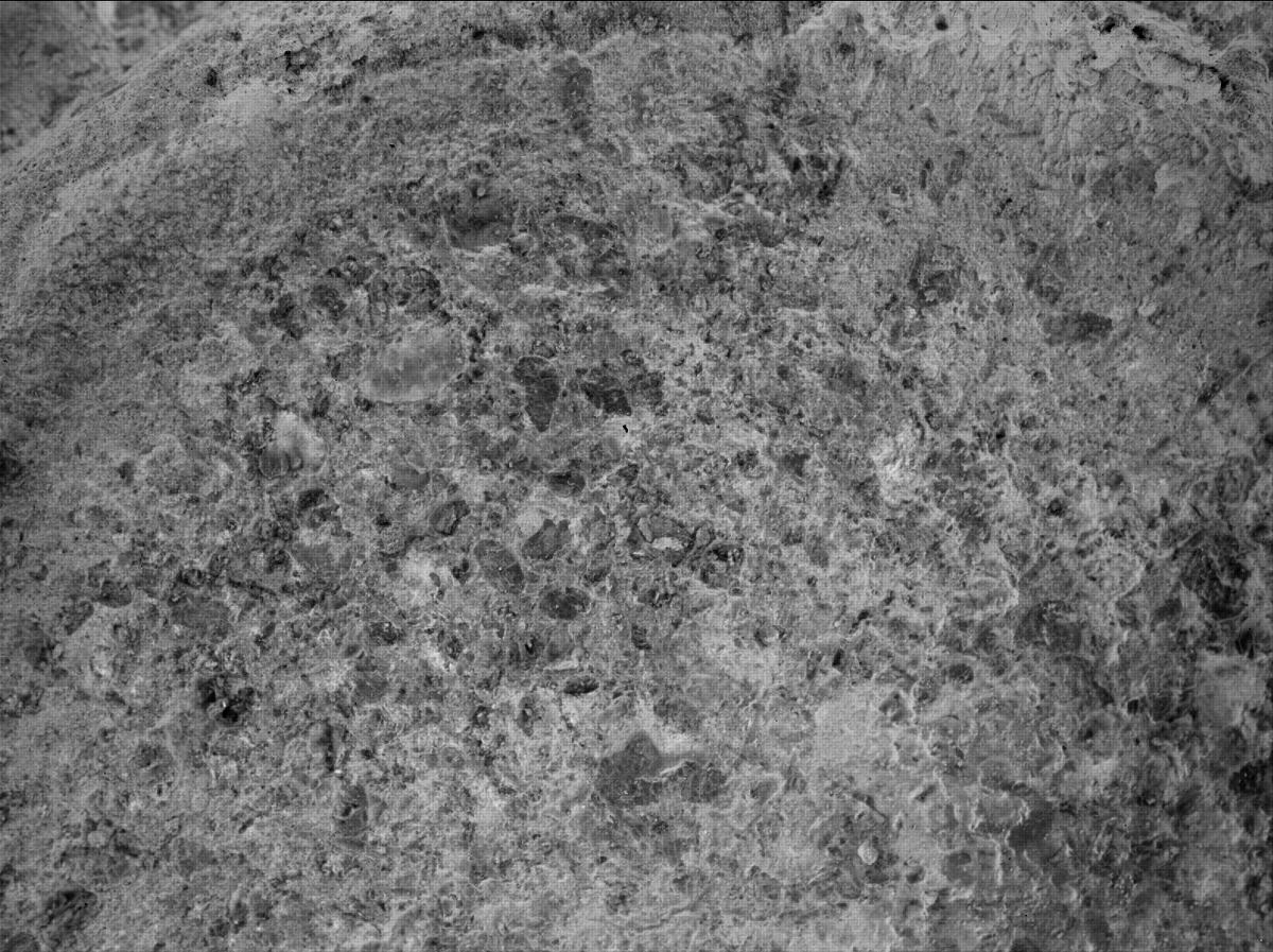 This image was taken by SHERLOC_WATSON onboard NASA's Mars rover Perseverance on Sol 485