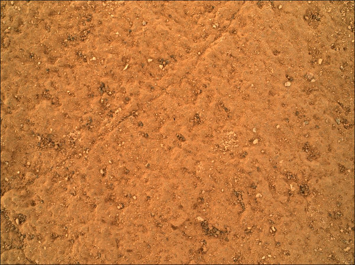 This image was taken by SHERLOC_WATSON onboard NASA's Mars rover Perseverance on Sol 485