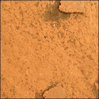 View image taken on Mars, Mars Perseverance Sol 485: WATSON Camera 