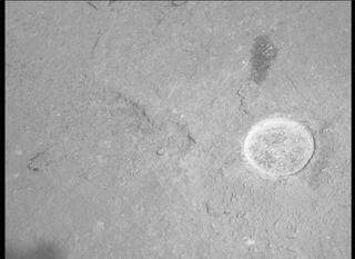 View image taken on Mars, Mars Perseverance Sol 486: Left Mastcam-Z Camera
