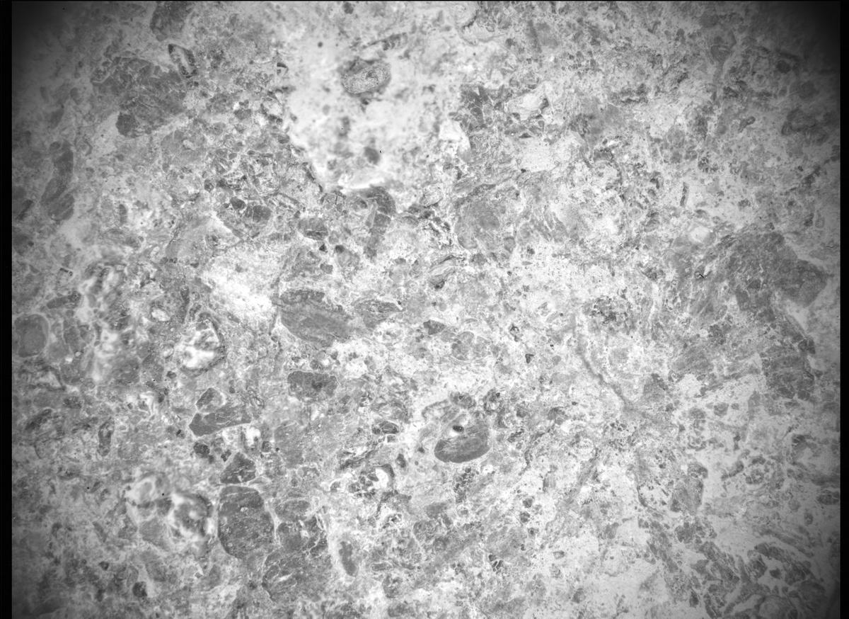 This image was taken by SHERLOC_ACI onboard NASA's Mars rover Perseverance on Sol 489