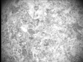 View image taken on Mars, Mars Perseverance Sol 489: SHERLOC ACI Camera 