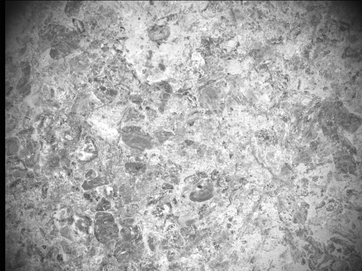 This image was taken by SHERLOC_ACI onboard NASA's Mars rover Perseverance on Sol 489