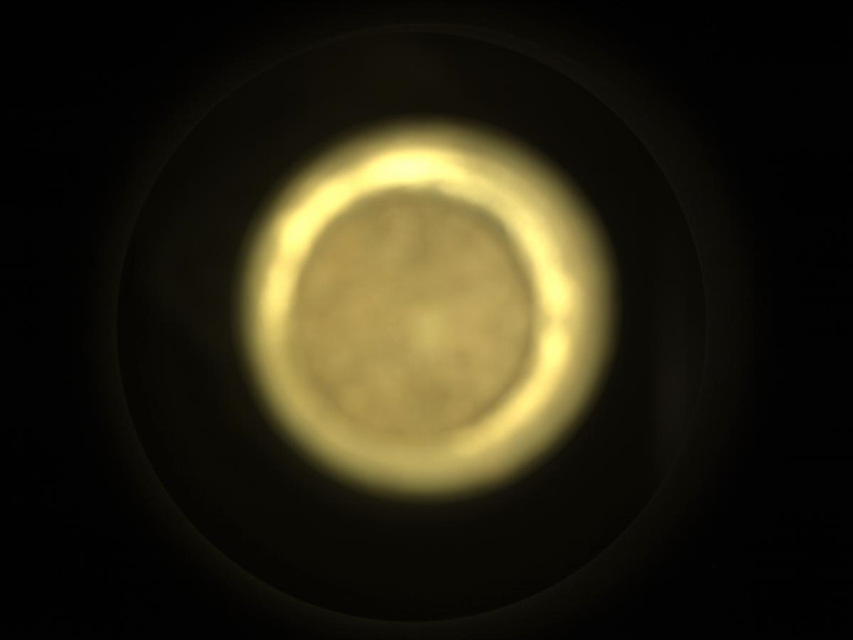 This image was taken by CACHECAM onboard NASA's Mars rover Perseverance on Sol 490