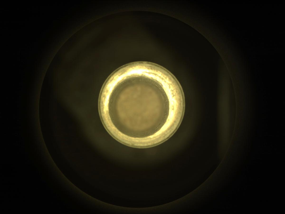 This image was taken by CACHECAM onboard NASA's Mars rover Perseverance on Sol 490