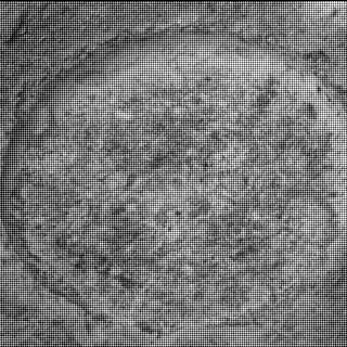 This image was taken by MCZ_RIGHT onboard NASA's Mars rover Perseverance on Sol 497