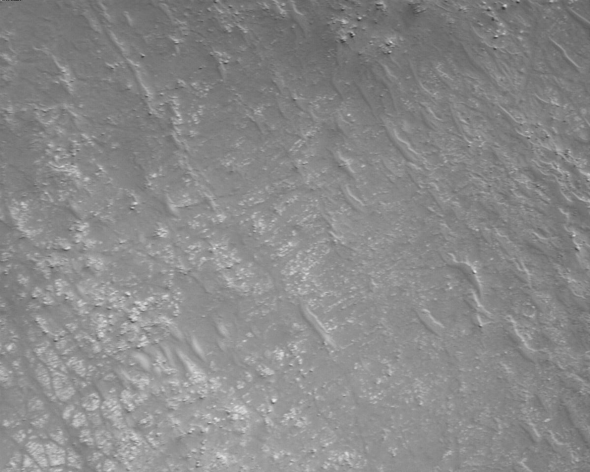 This image was taken by EDL_RDCAM onboard NASA's Mars rover Perseverance on Sol 498