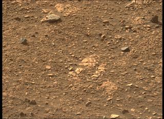 View image taken on Mars, Mars Perseverance Sol 501: Left Mastcam-Z Camera