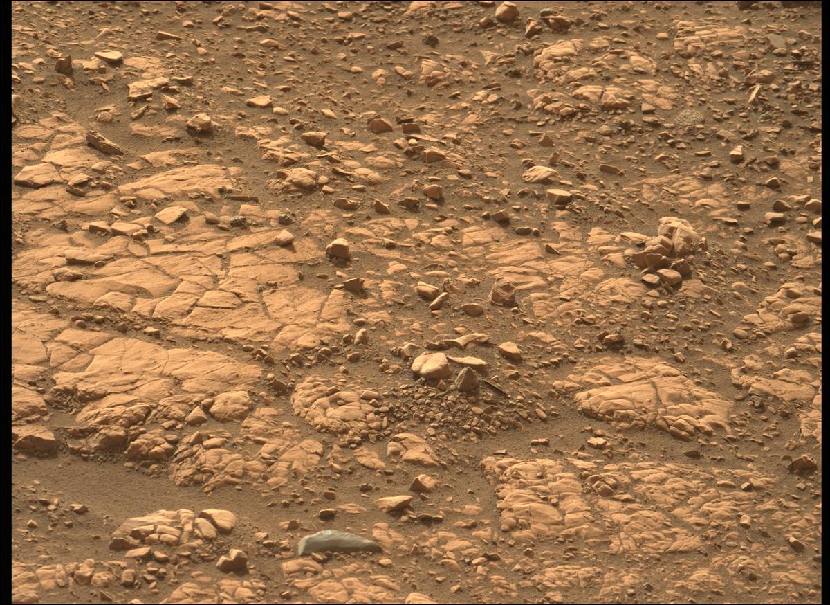 This image was taken by MCZ_LEFT onboard NASA's Mars rover Perseverance on Sol 501
