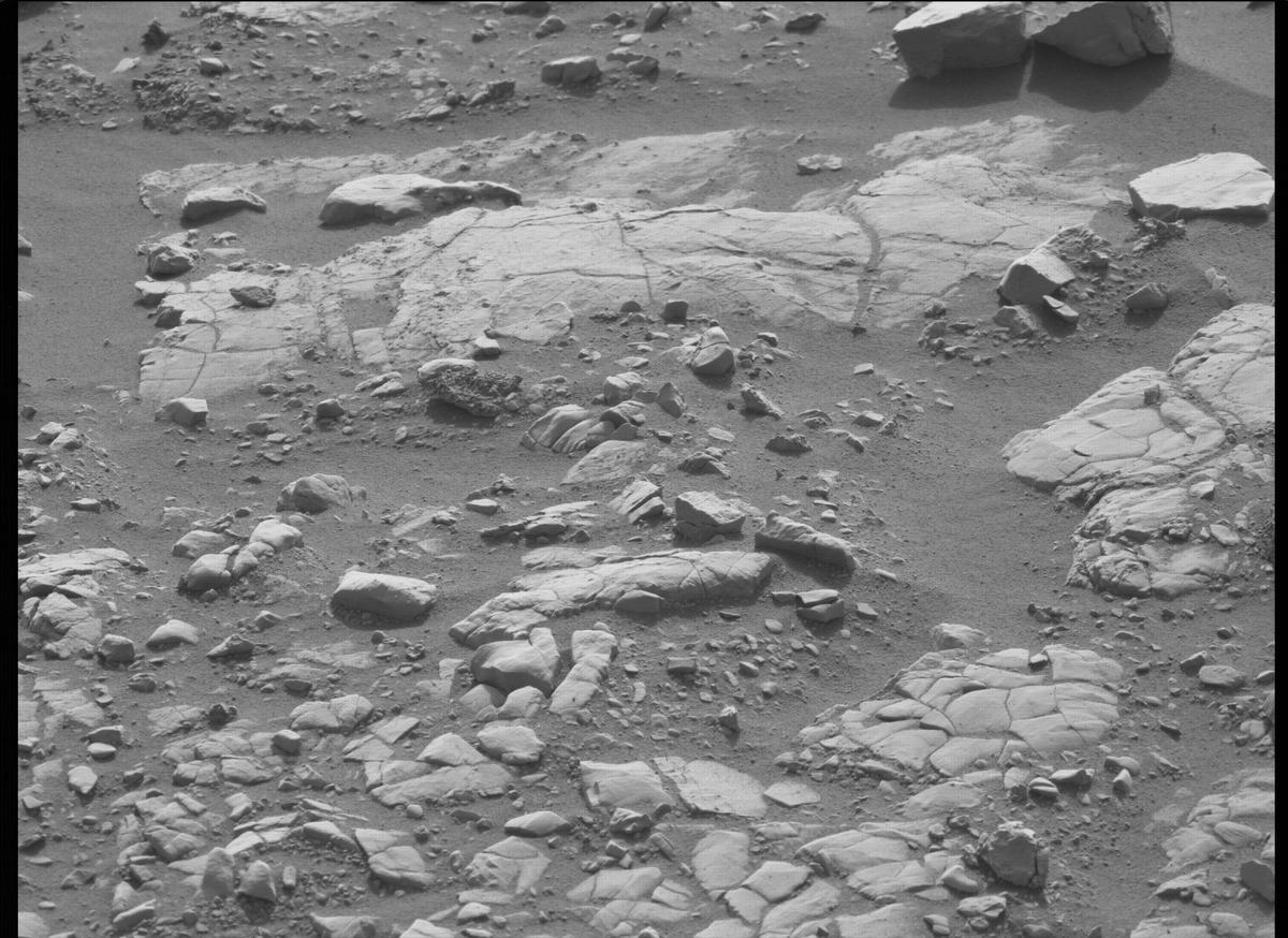 This image was taken by MCZ_LEFT onboard NASA's Mars rover Perseverance on Sol 501