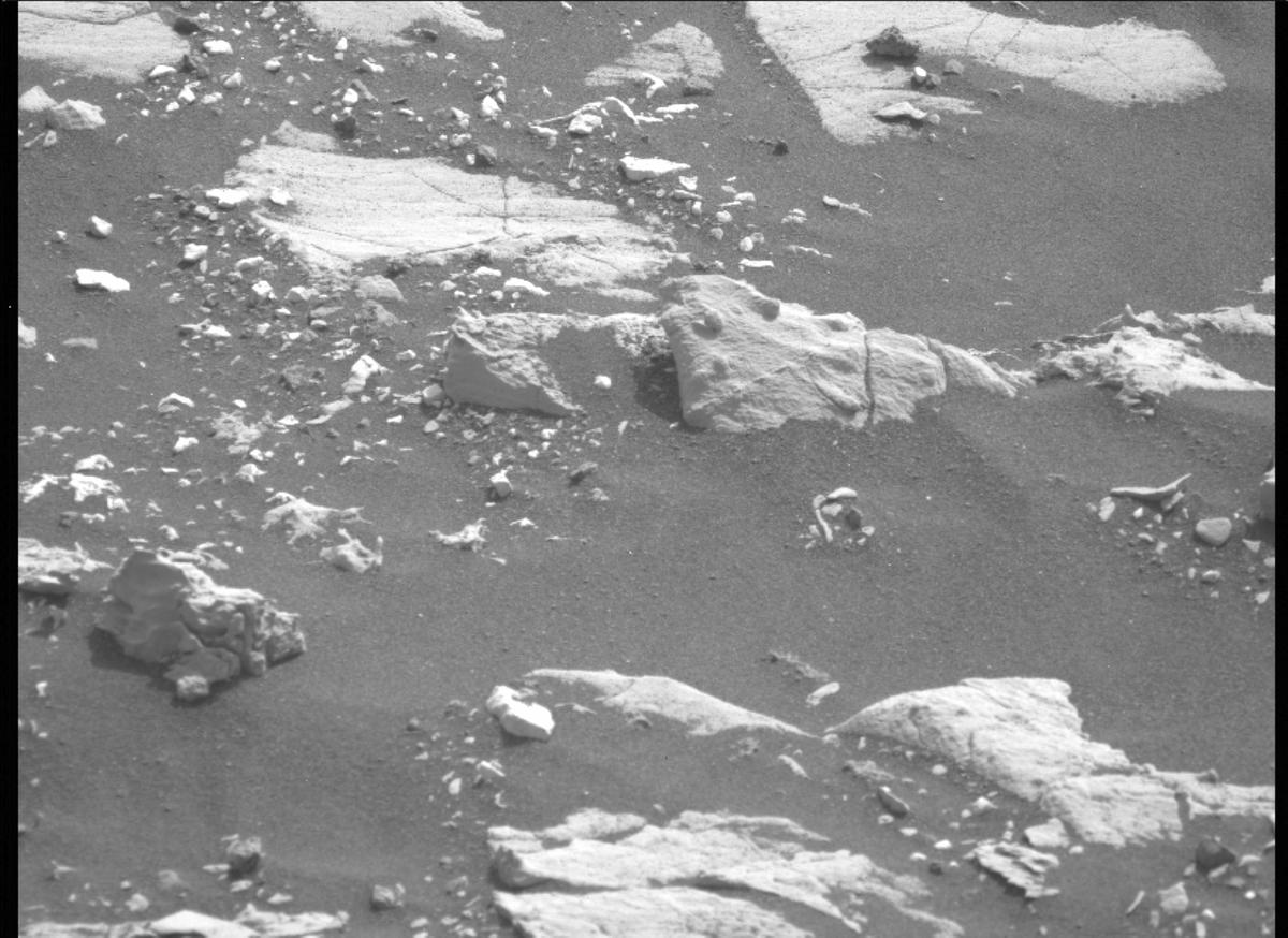 This image was taken by MCZ_LEFT onboard NASA's Mars rover Perseverance on Sol 501