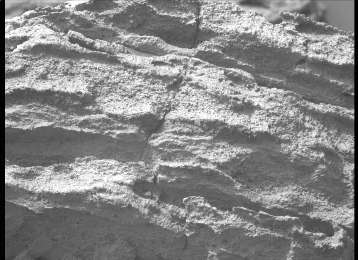 This image was taken by MCZ_LEFT onboard NASA's Mars rover Perseverance on Sol 501