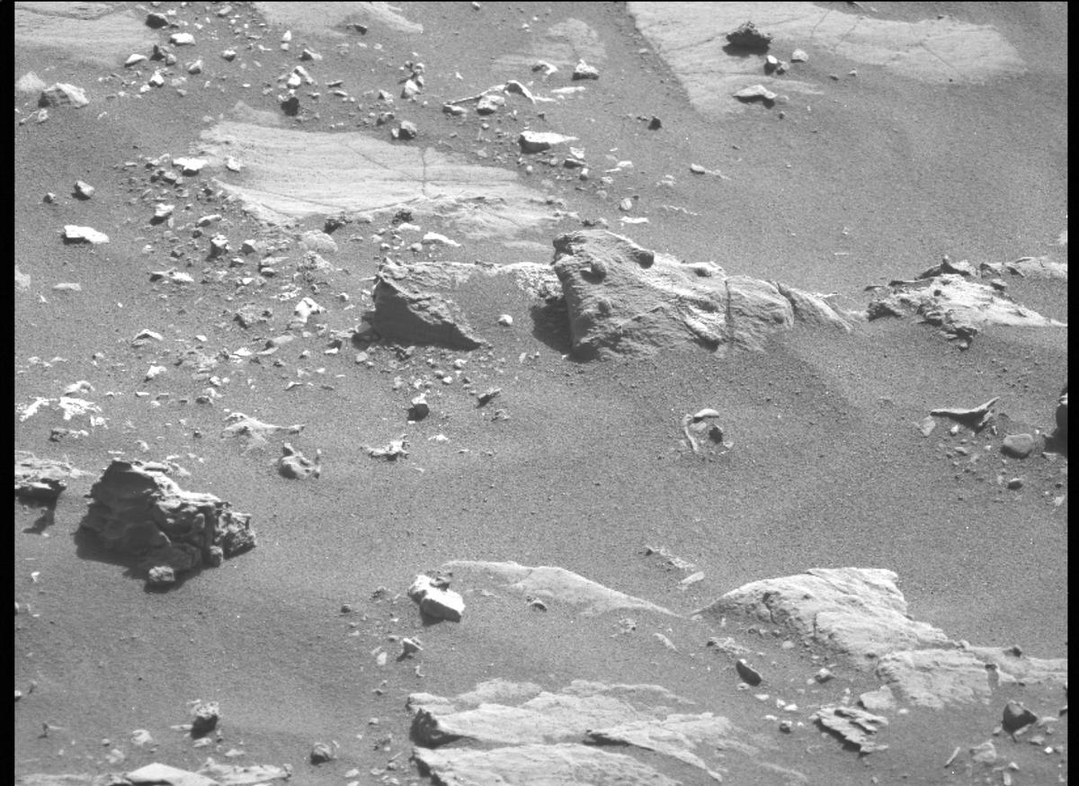 This image was taken by MCZ_LEFT onboard NASA's Mars rover Perseverance on Sol 501