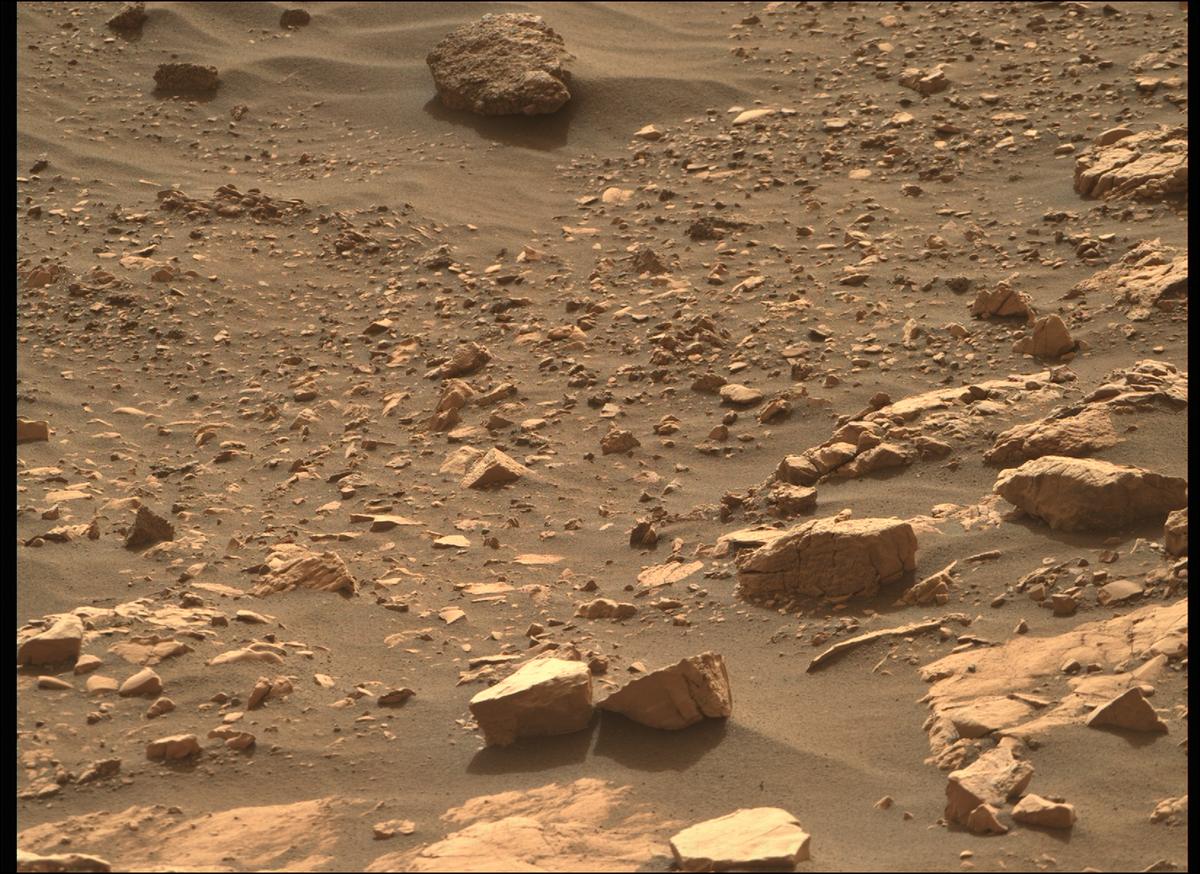 This image was taken by MCZ_RIGHT onboard NASA's Mars rover Perseverance on Sol 501