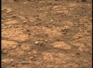 View image taken on Mars, Mars Perseverance Sol 501: Right Mastcam-Z Camera