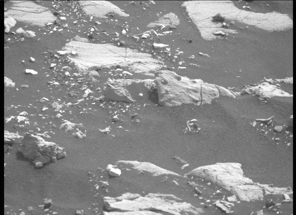 This image was taken by MCZ_RIGHT onboard NASA's Mars rover Perseverance on Sol 501