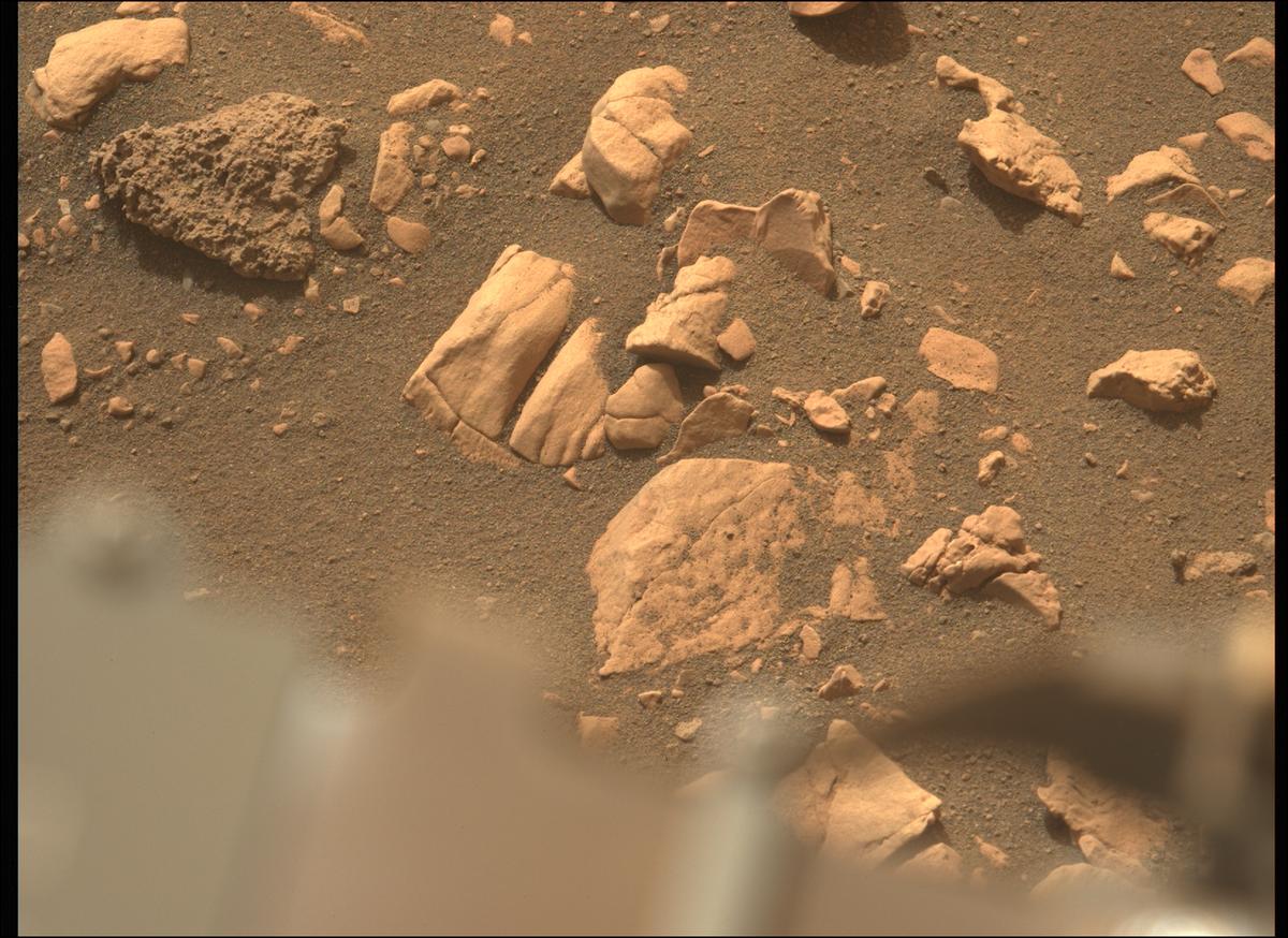 This image was taken by MCZ_LEFT onboard NASA's Mars rover Perseverance on Sol 502