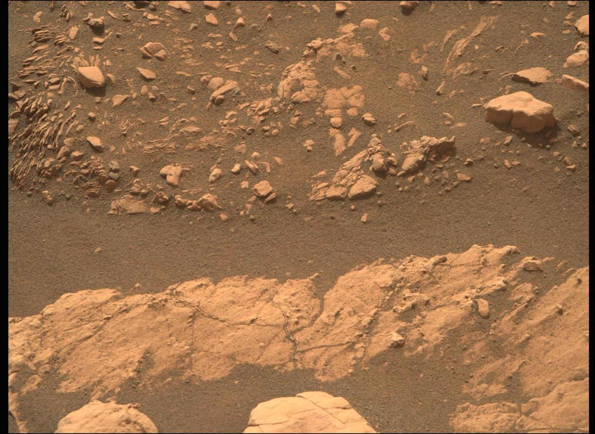 This image was taken by MCZ_RIGHT onboard NASA's Mars rover Perseverance on Sol 502