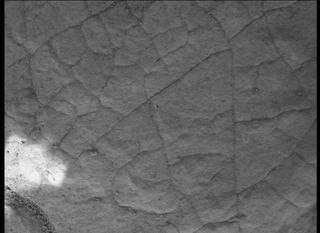 View image taken on Mars, Mars Perseverance Sol 503: WATSON Camera 