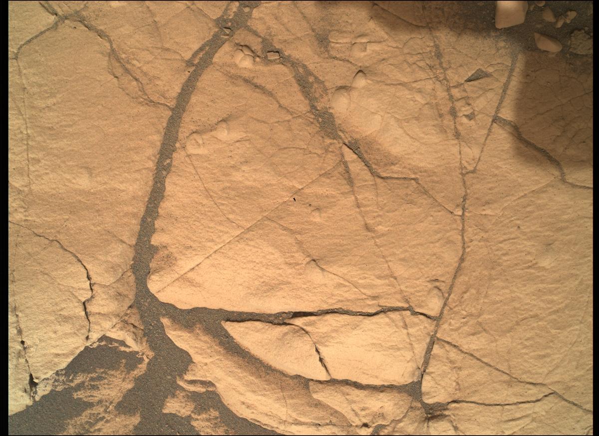 This image was taken by SHERLOC_WATSON onboard NASA's Mars rover Perseverance on Sol 503