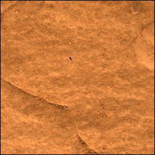 View image taken on Mars, Mars Perseverance Sol 503: WATSON Camera 