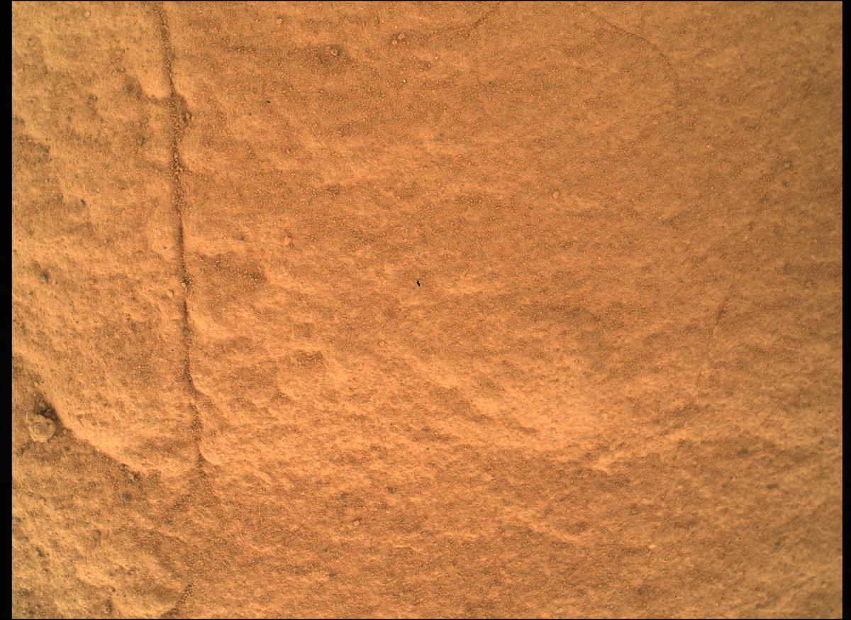 This image was taken by SHERLOC_WATSON onboard NASA's Mars rover Perseverance on Sol 503