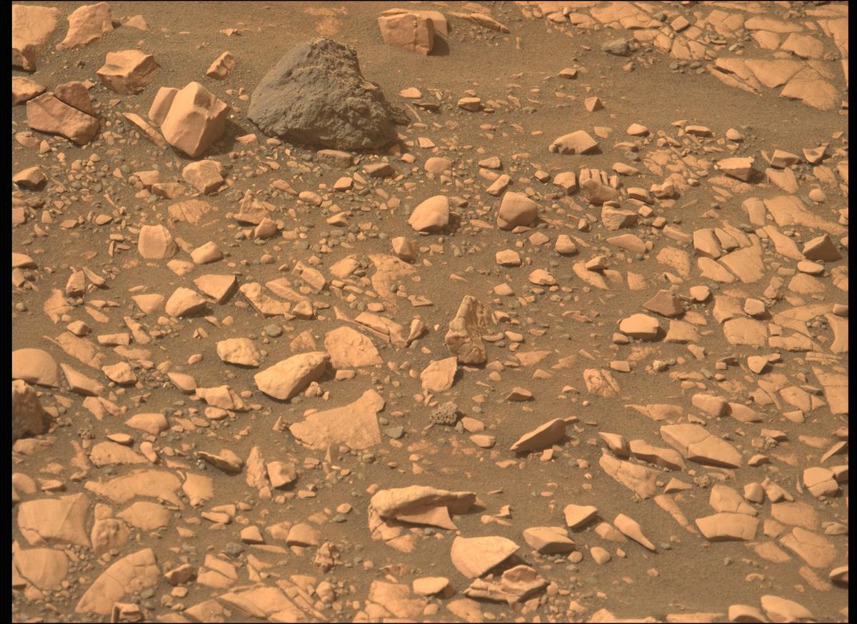 This image was taken by MCZ_LEFT onboard NASA's Mars rover Perseverance on Sol 503