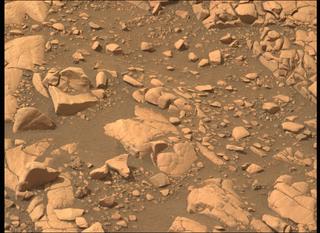 View image taken on Mars, Mars Perseverance Sol 503: Left Mastcam-Z Camera