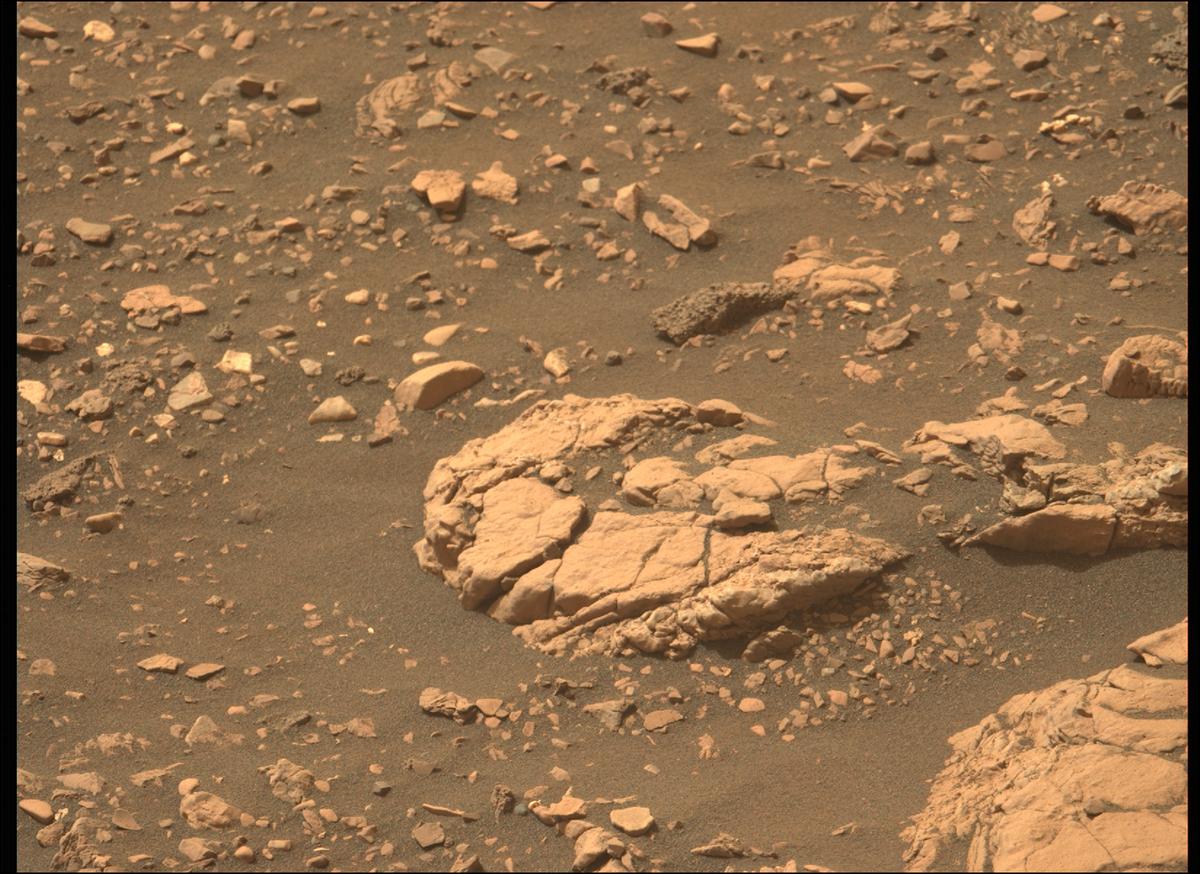 This image was taken by MCZ_LEFT onboard NASA's Mars rover Perseverance on Sol 503