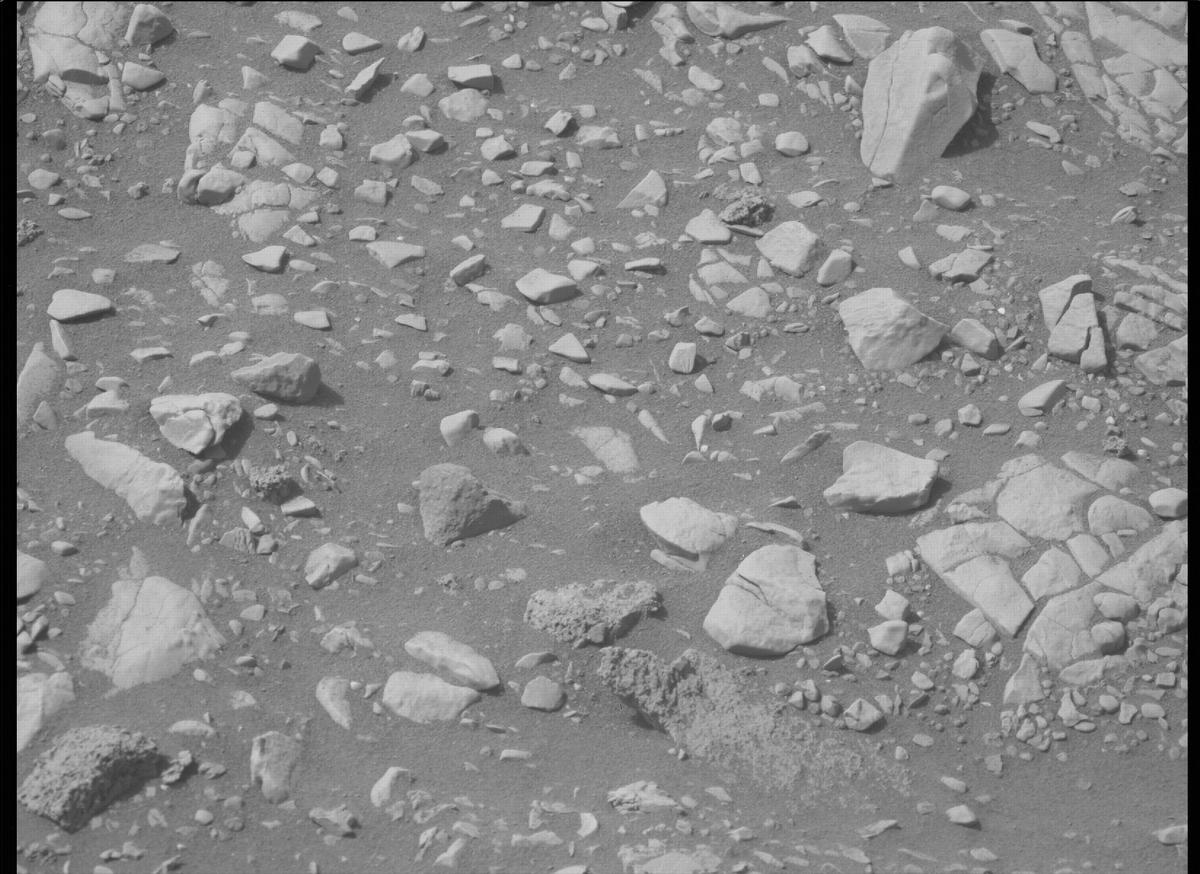 This image was taken by MCZ_LEFT onboard NASA's Mars rover Perseverance on Sol 503