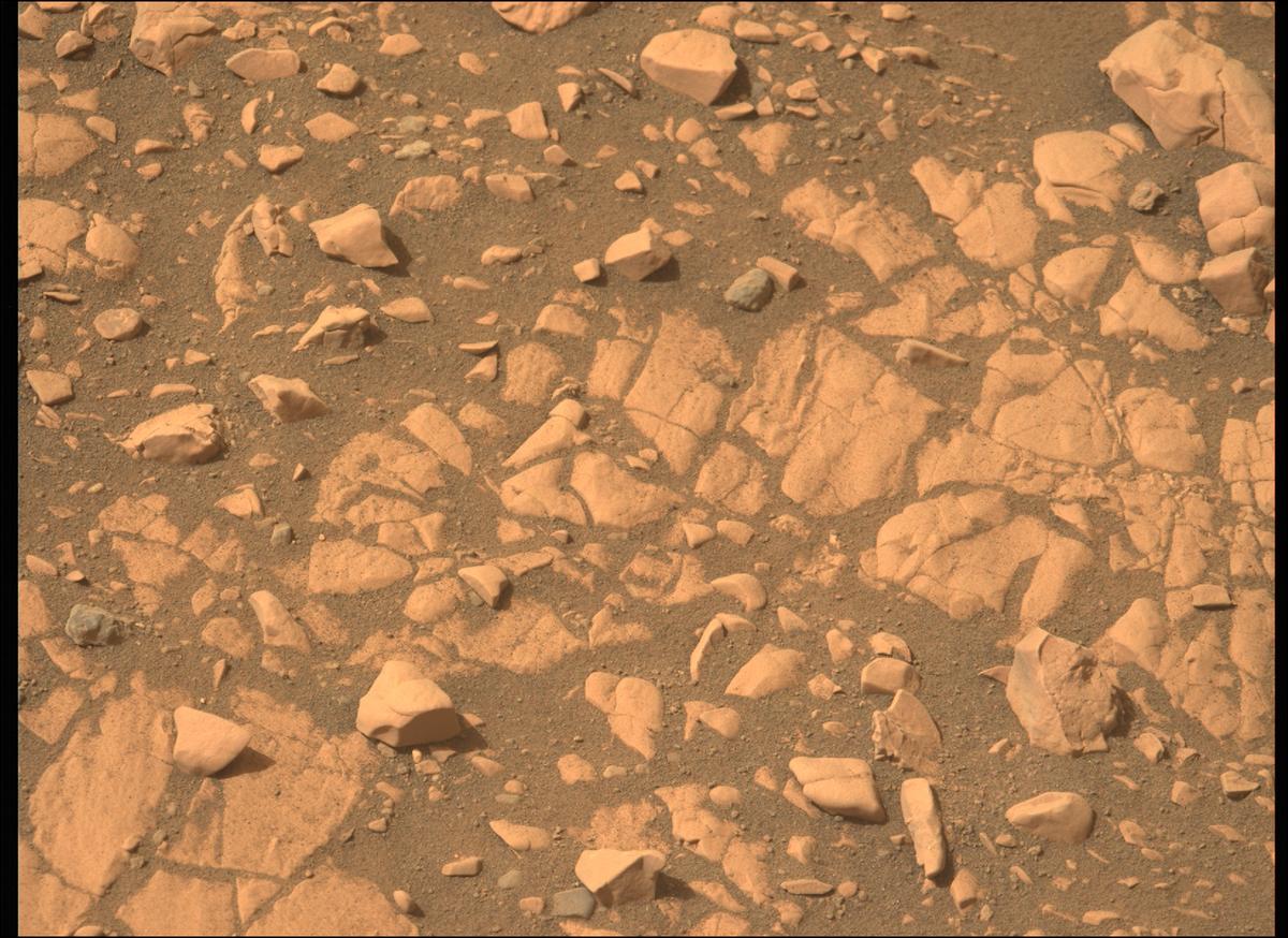 This image was taken by MCZ_LEFT onboard NASA's Mars rover Perseverance on Sol 503