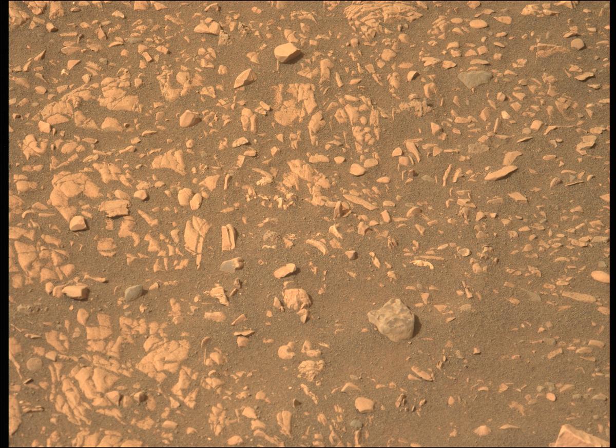This image was taken by MCZ_LEFT onboard NASA's Mars rover Perseverance on Sol 503
