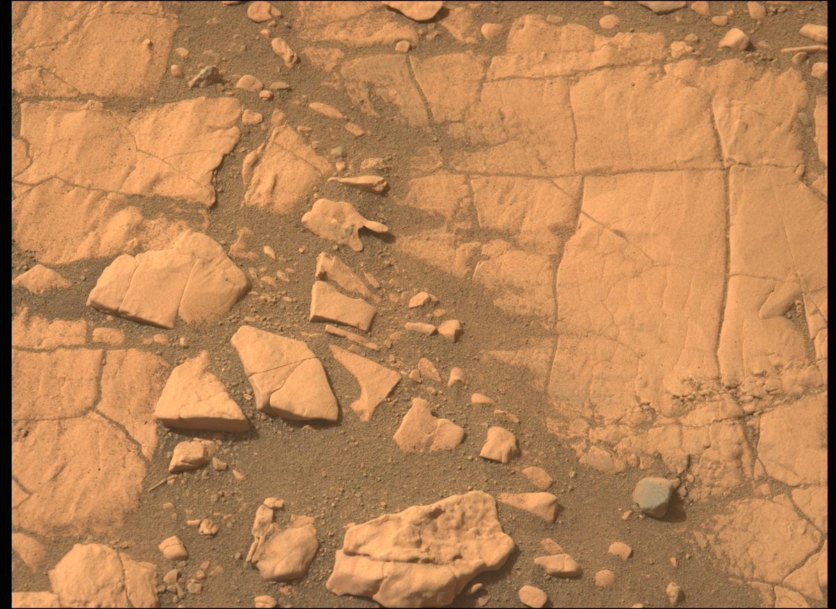 This image was taken by MCZ_LEFT onboard NASA's Mars rover Perseverance on Sol 503