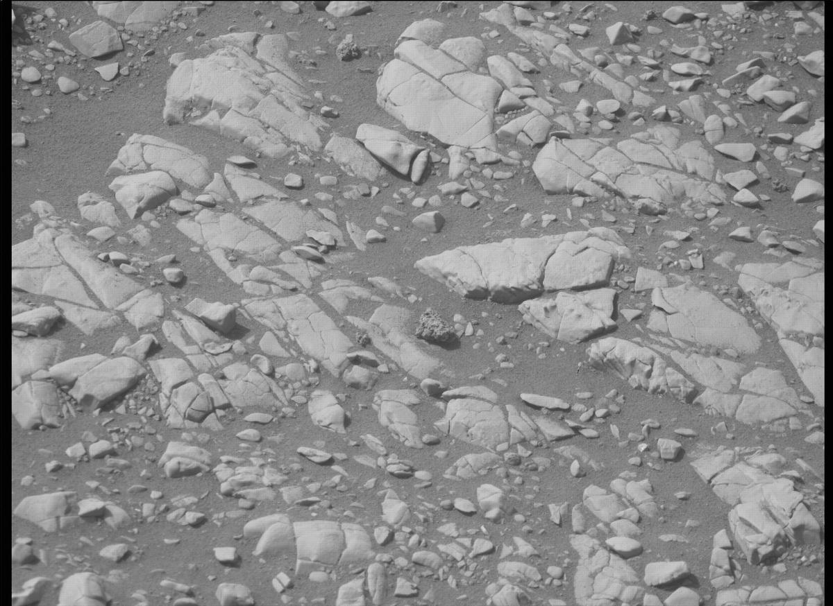 This image was taken by MCZ_RIGHT onboard NASA's Mars rover Perseverance on Sol 503