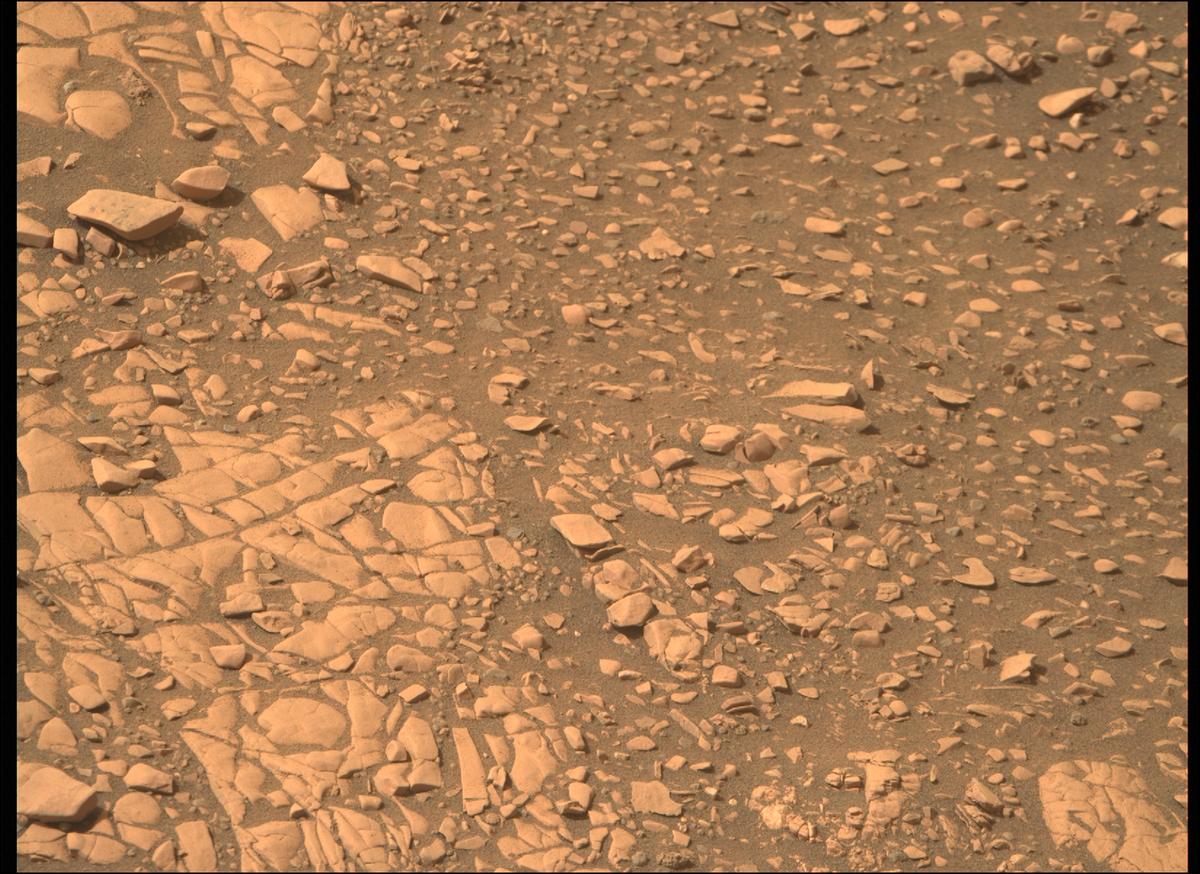 This image was taken by MCZ_RIGHT onboard NASA's Mars rover Perseverance on Sol 503