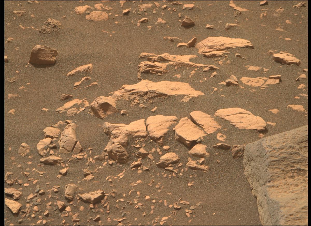 This image was taken by MCZ_RIGHT onboard NASA's Mars rover Perseverance on Sol 503