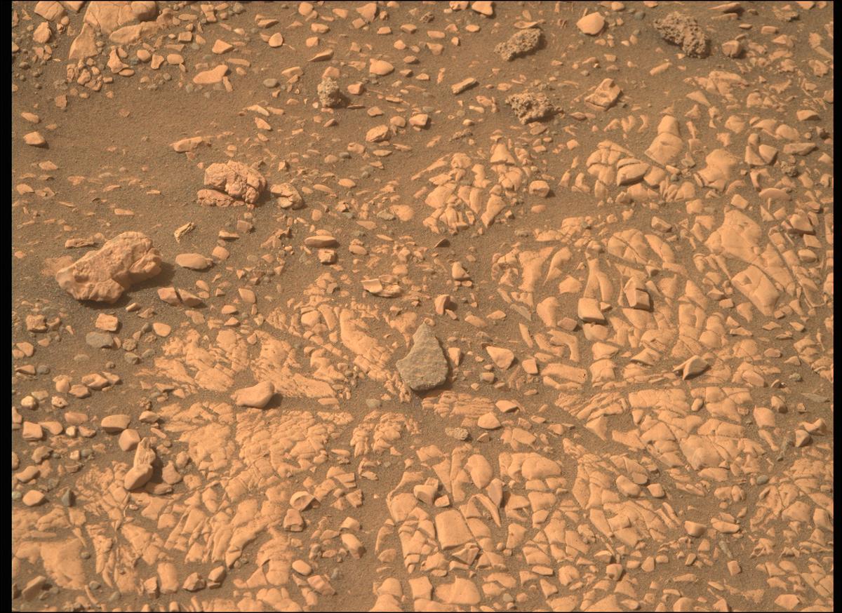 This image was taken by MCZ_RIGHT onboard NASA's Mars rover Perseverance on Sol 503