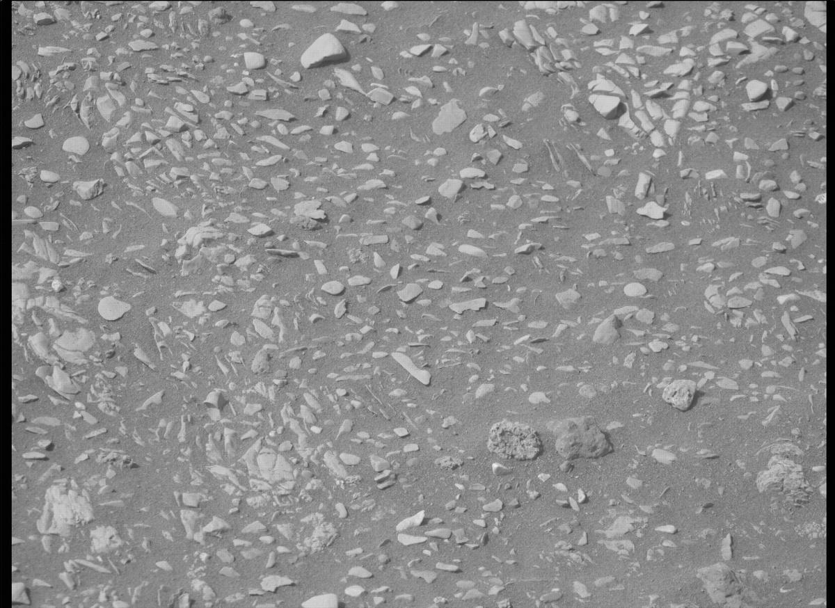 This image was taken by MCZ_RIGHT onboard NASA's Mars rover Perseverance on Sol 503