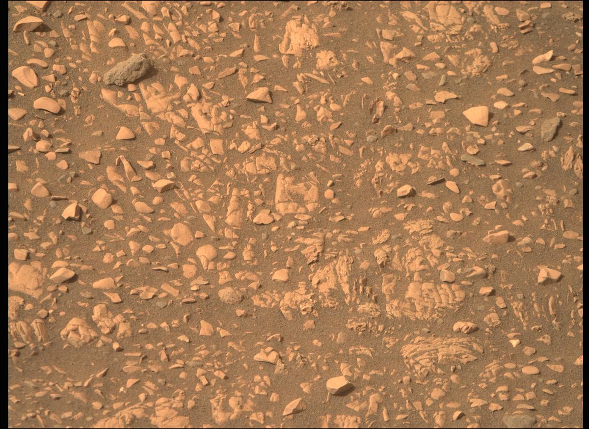 This image was taken by MCZ_RIGHT onboard NASA's Mars rover Perseverance on Sol 503