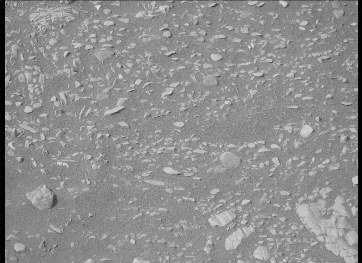 This image was taken by MCZ_RIGHT onboard NASA's Mars rover Perseverance on Sol 503