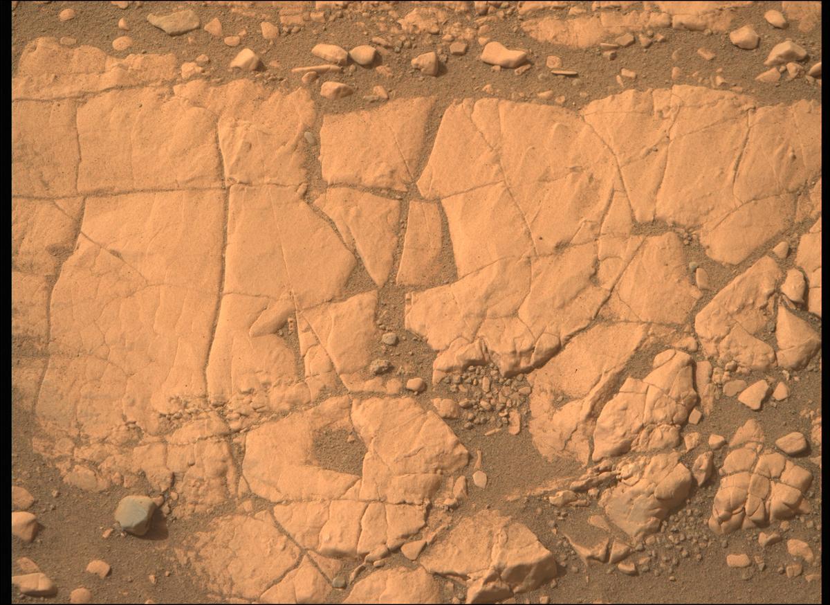 This image was taken by MCZ_RIGHT onboard NASA's Mars rover Perseverance on Sol 503