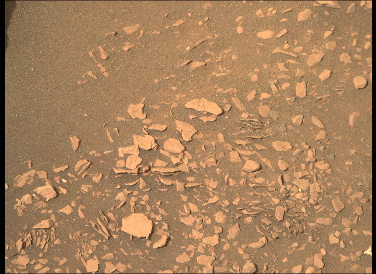 This image was taken by MCZ_RIGHT onboard NASA's Mars rover Perseverance on Sol 503