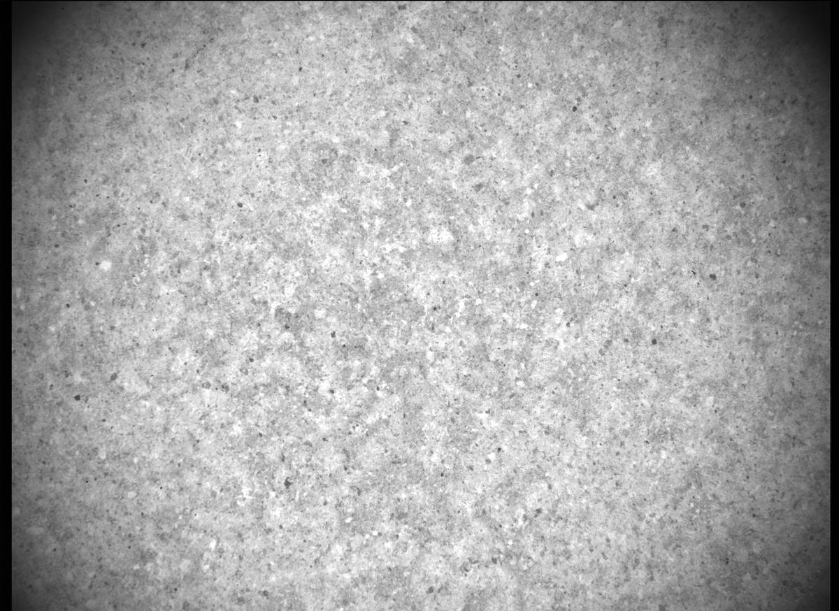 This image was taken by SHERLOC_ACI onboard NASA's Mars rover Perseverance on Sol 505