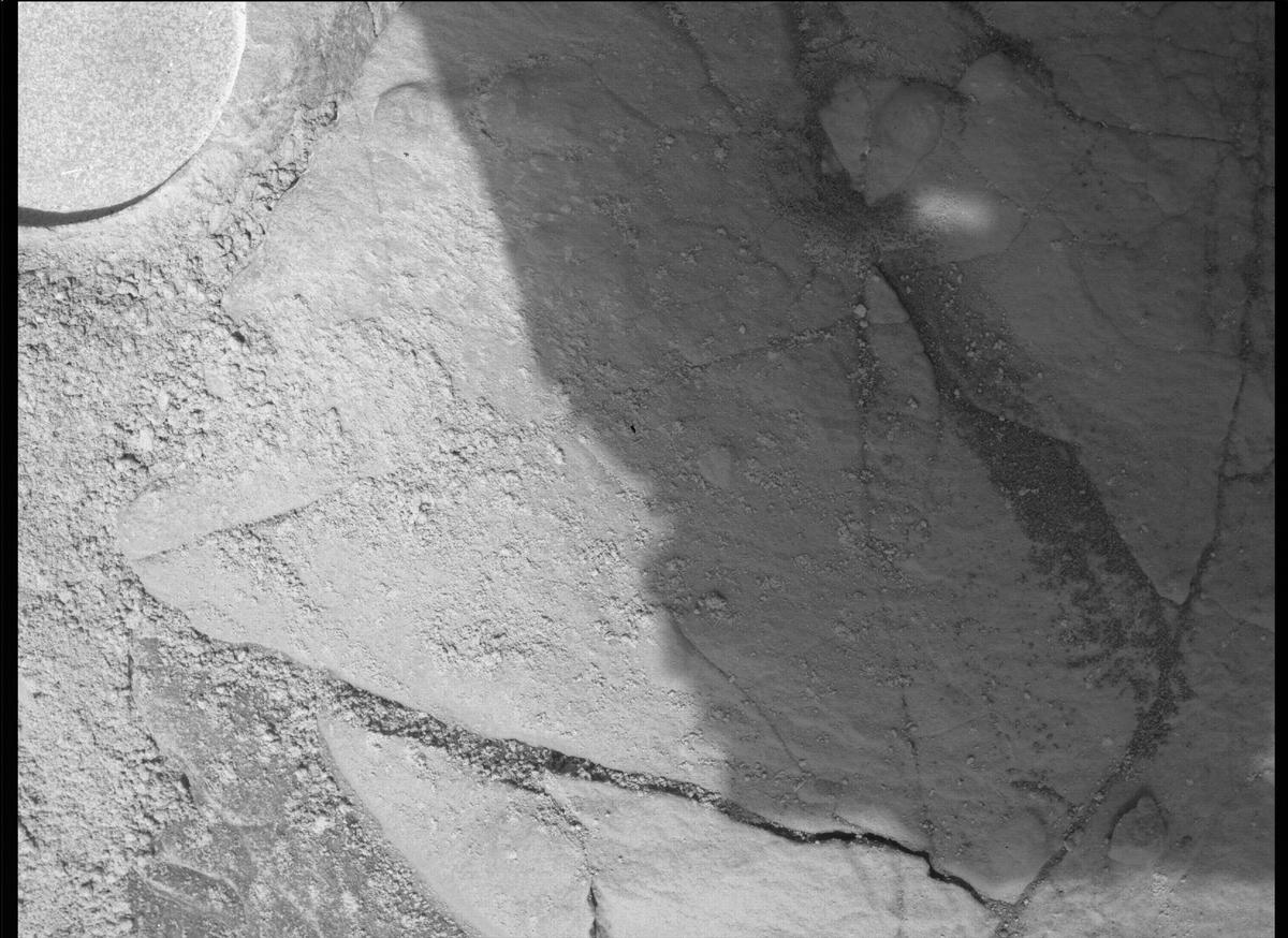 This image was taken by SHERLOC_WATSON onboard NASA's Mars rover Perseverance on Sol 505