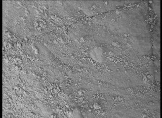 View image taken on Mars, Mars Perseverance Sol 505: WATSON Camera 