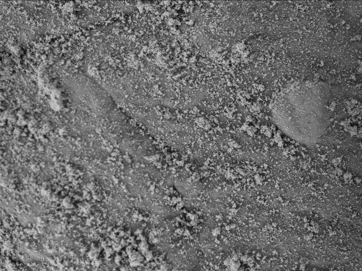 This image was taken by SHERLOC_WATSON onboard NASA's Mars rover Perseverance on Sol 505